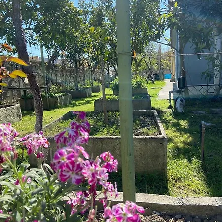 Osmani בית כפרי *