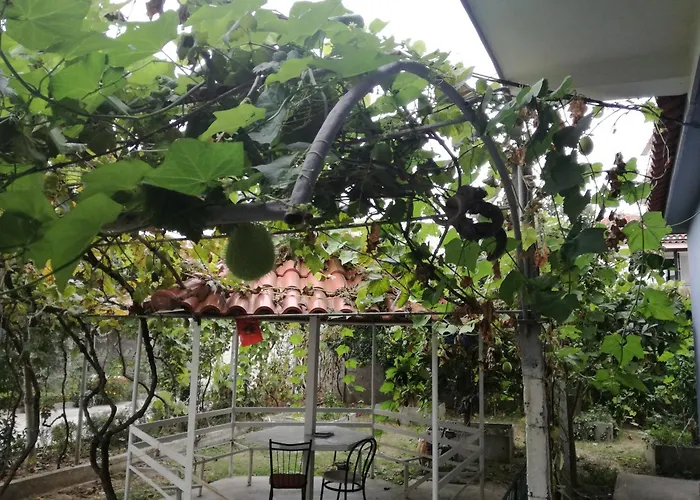 Osmani Casa rural Durrës