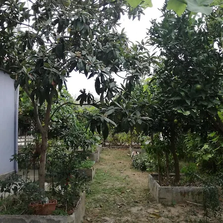 Osmani دراس